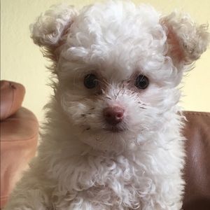 Meet your Posher, Nikki